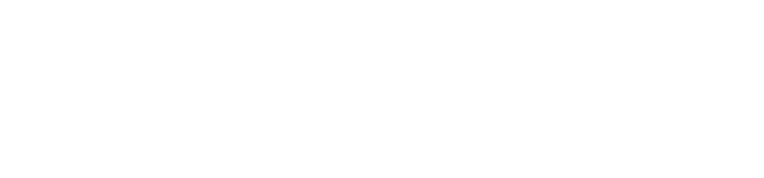 jt logo horizontal white@1.25x
